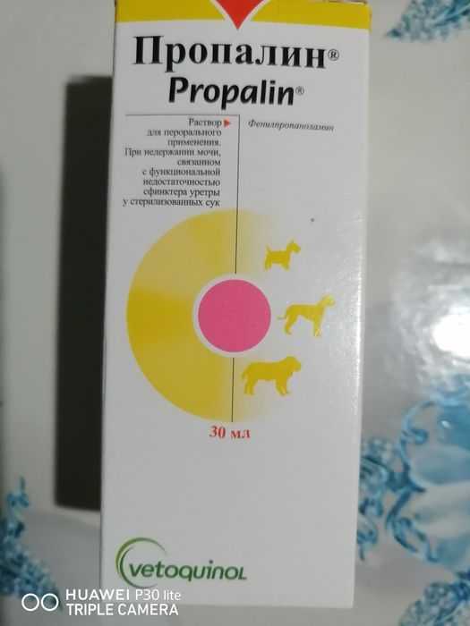Лекарство «пропалин» для собак: инструкция и побочные эффекты. лекарство пропалин поможет вылечить недержание мочи у собаки алый пес пропалин