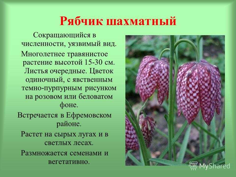 Красная книга нижегородской области