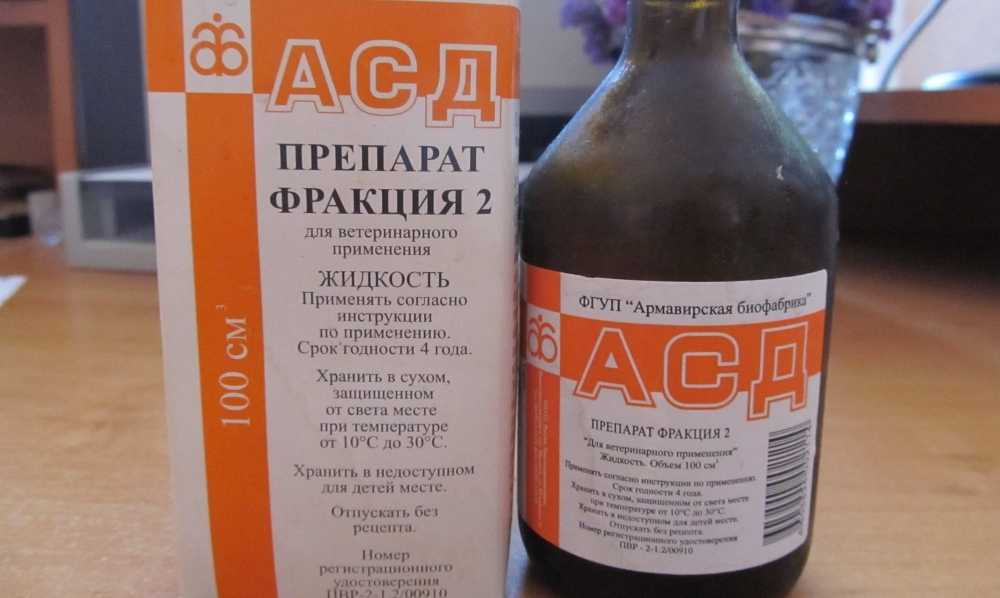 Применение асд-2 для собак: отзывы владельцев и инструкция по применению
