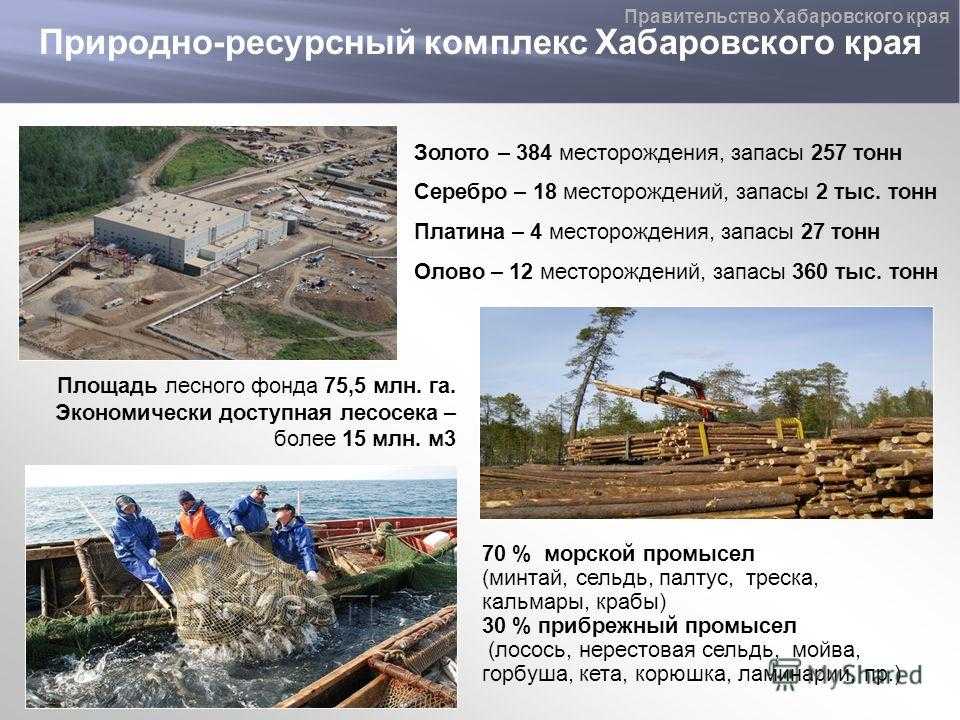 Презентация - заповедники хабаровского края