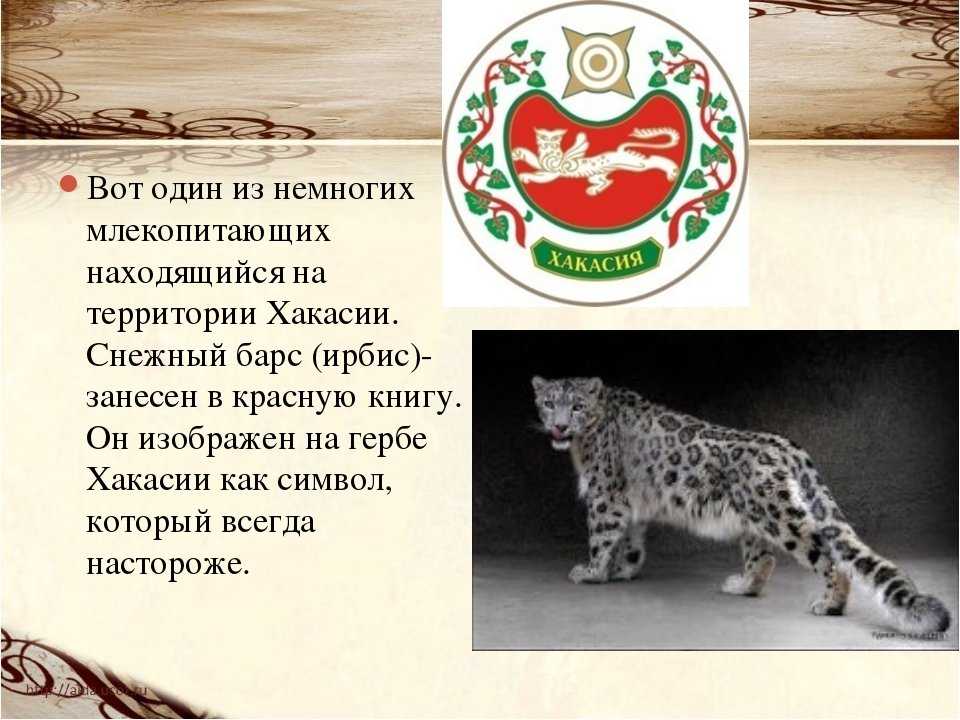Проект «разнообразие природы. республика хакасия» 3 класс