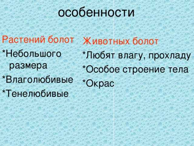 Болота⭐: определение, описание, особенности, характеристика