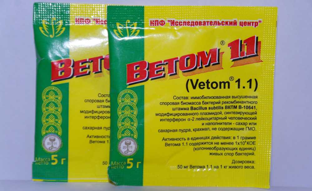 Ветом для собак: инструкция по применению, описание препарата, показания и противопоказания.