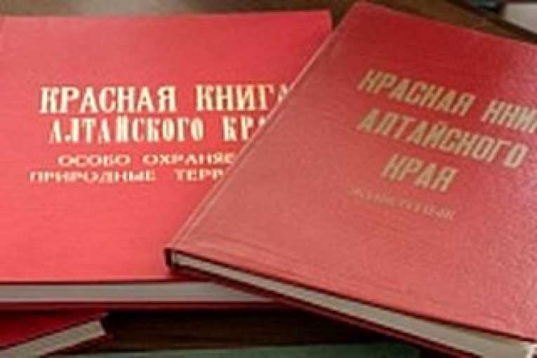 Разнообразие животного мира алтайского края: перечень видов и особенности