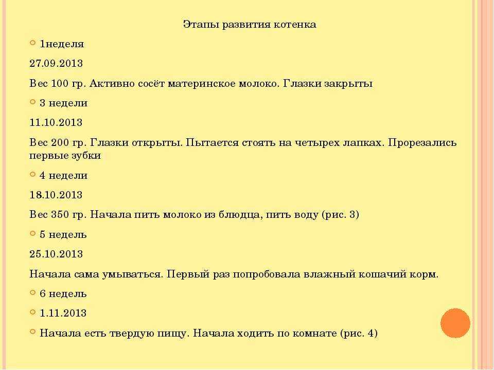 Новорожденные котята - уход и содержание, помощь кошке при родах