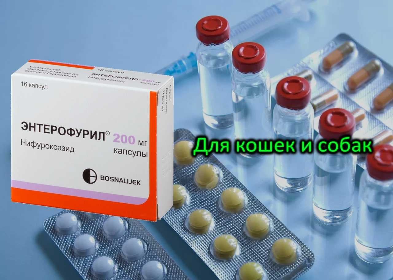 Энтерофурил собаке при поносе дозировка: можно ли давать, как применять