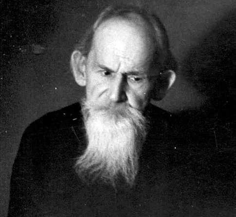 Сообщение про льва - описание, характеристика и виды животного