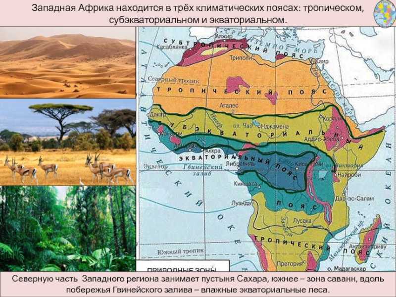 Климат африки