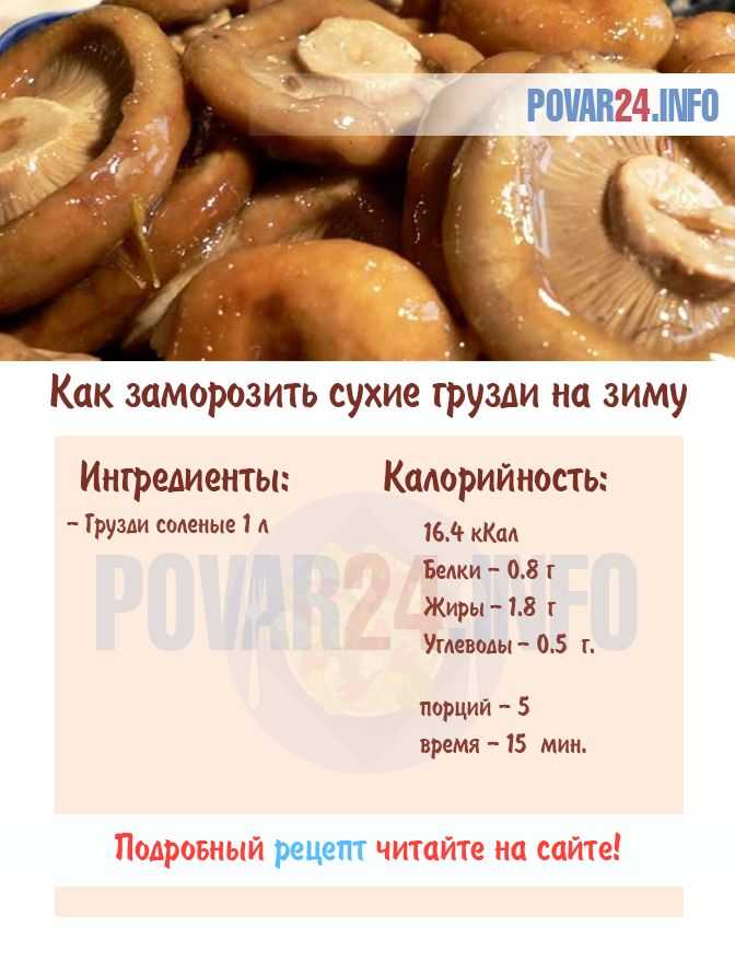Засолка груздей холодным способом, простые рецепты на зиму