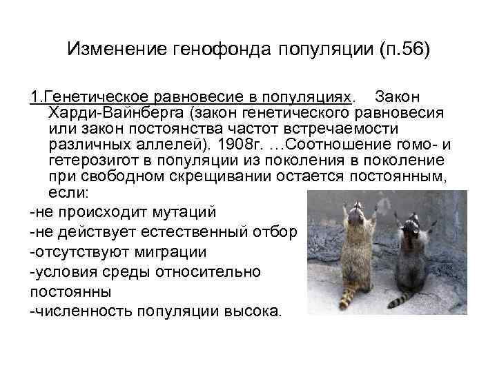 какое занчение имеет изучение изменения генофонда популяций Факторы и причины изменения генофонда популяций