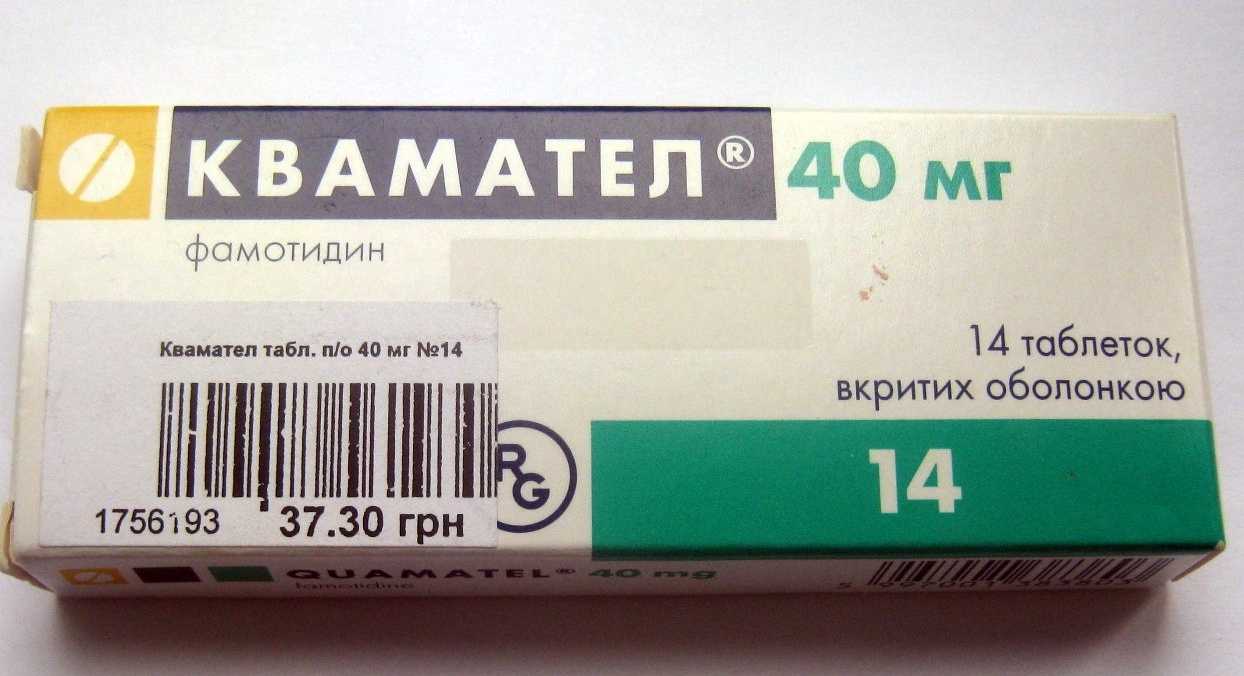 Омез для собак. дозировка. инструкция по применению омеза у собак