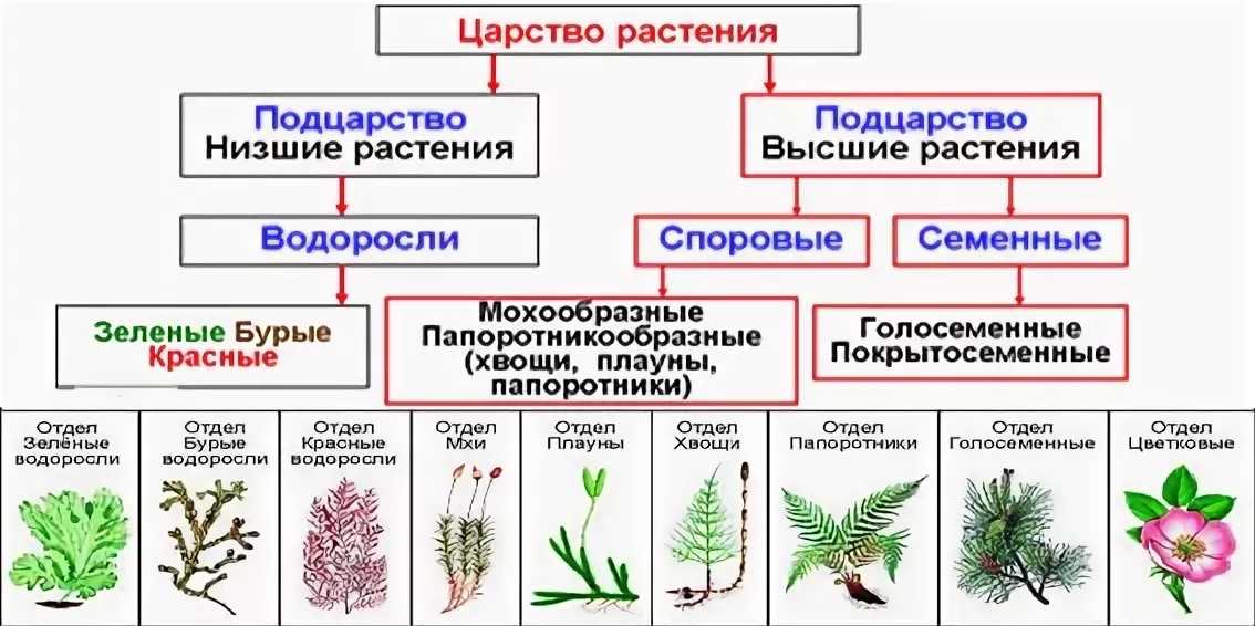 Биология