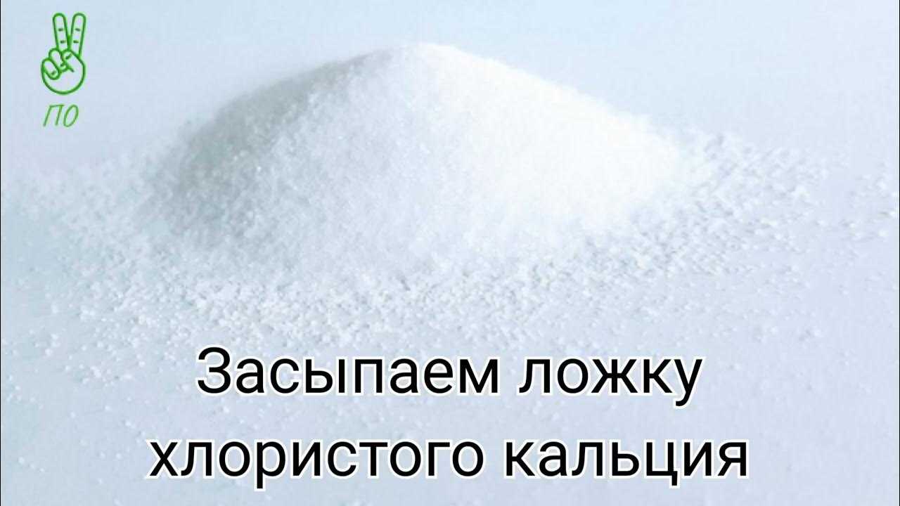 Творог собакам: можно ли давать и сколько, рецепты домашнего продукта