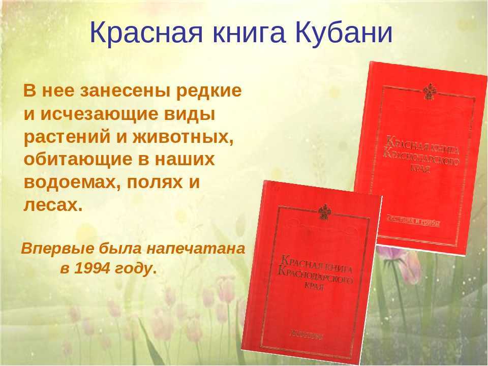 Редкие животные краснодарского края: топ 10 с названиями, описанием и фото