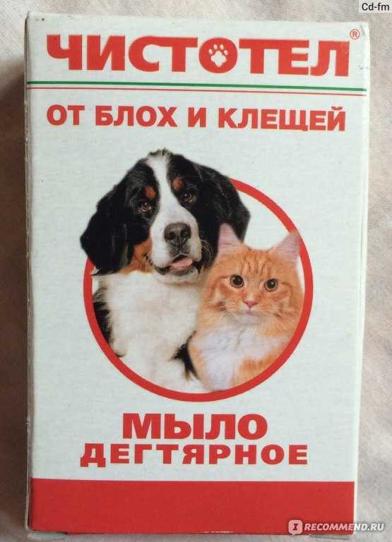 Народные средства от блох у собак: эффективные средства и способы вывести блох у питомца в домашних условиях