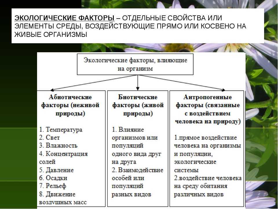 Что такое антропогенные факторы, и как они воздействуют на природу - tarologiay.ru