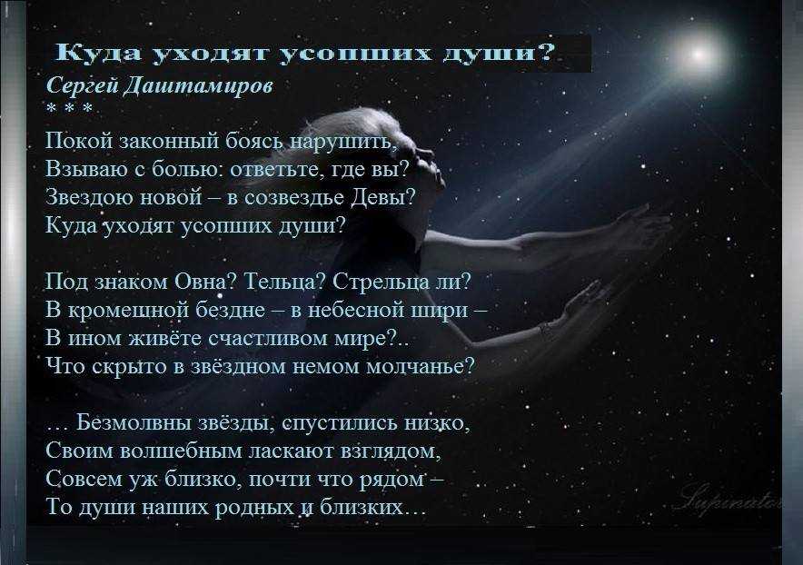 Что происходит с кошкой после смерти: когда умирает кот куда он попадает?