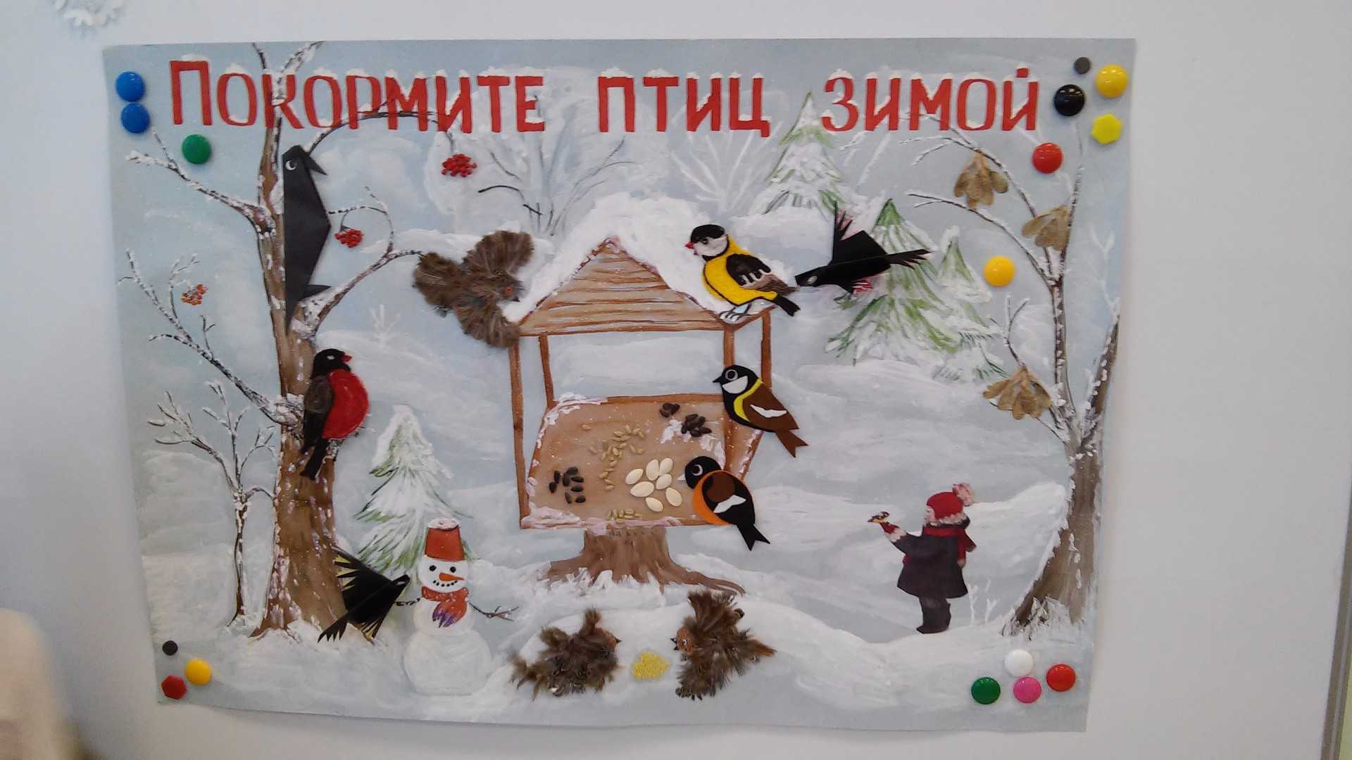 Зимующие птицы вологодской области