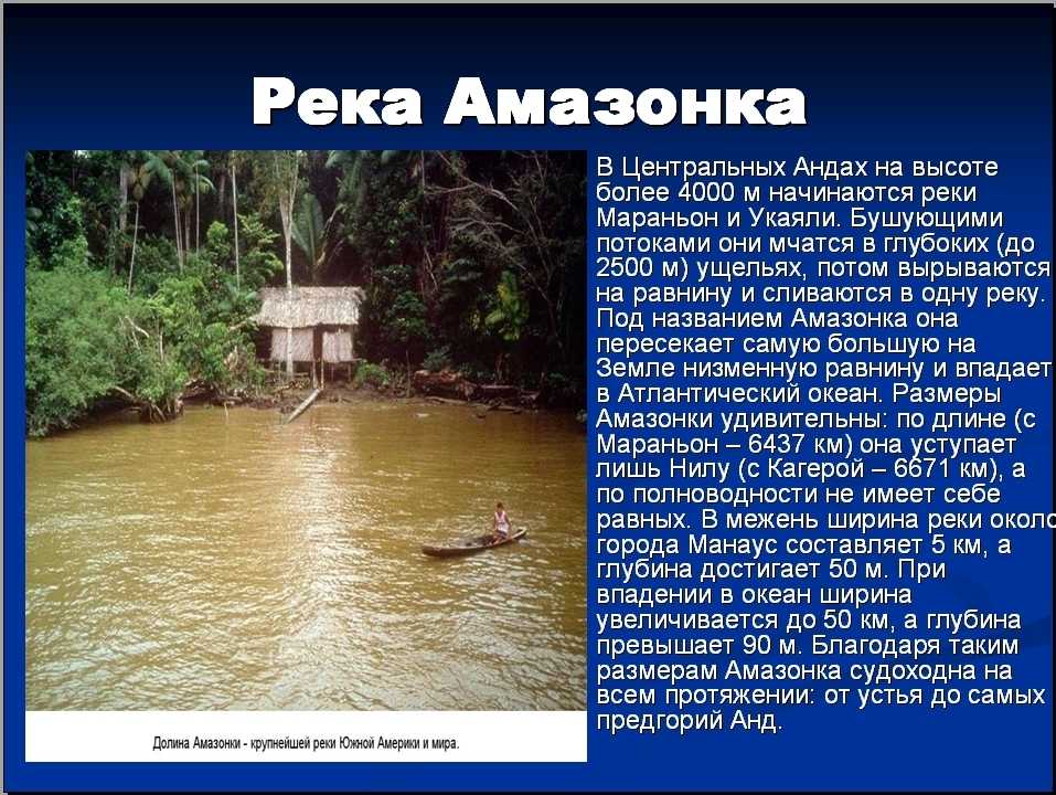 Режим реки амазонка (8 фото): источники и тип питания, как он зависит от климата