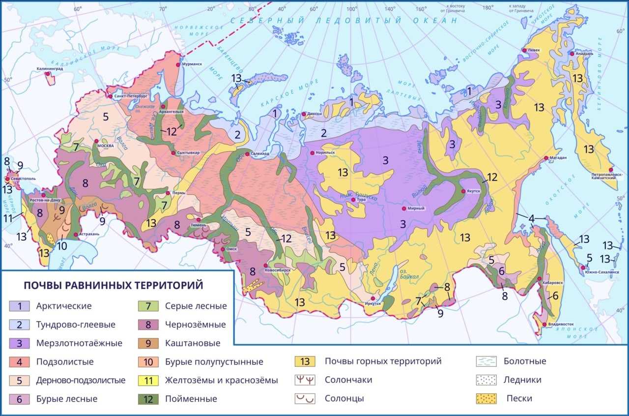 Урок 6: почвы россии - 100urokov.ru