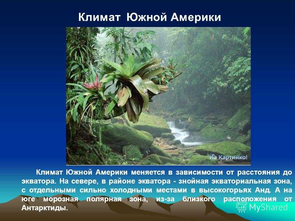 Климат южной америки, в каких климатических поясах расположена