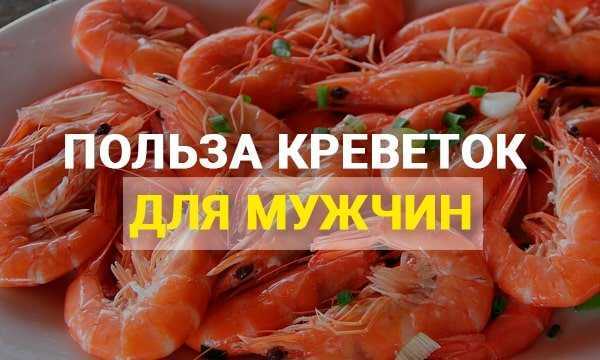 Креветка: внешний вид, фото, особенности, интересные факты, среда обитания