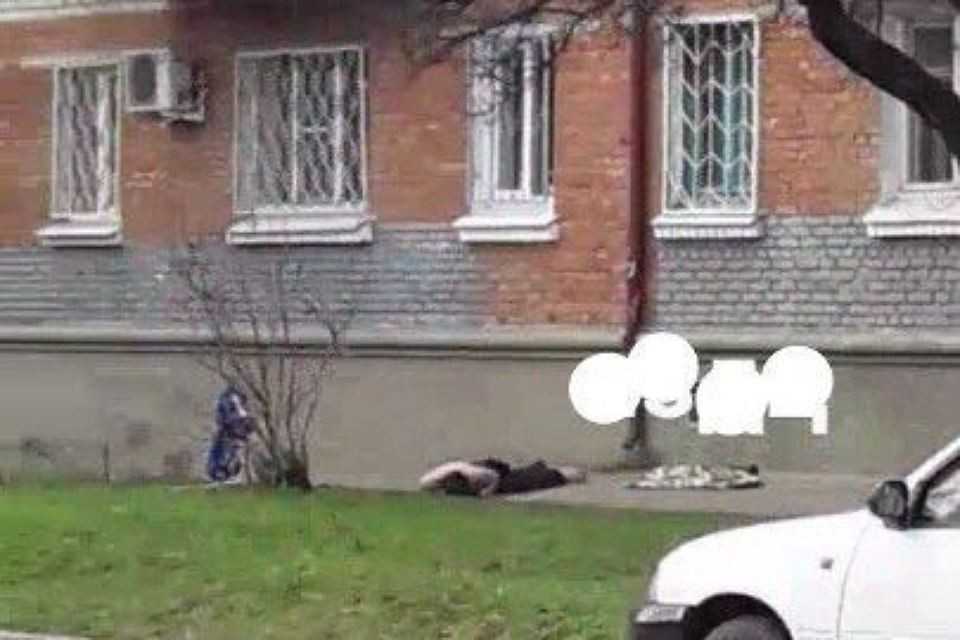Как найти потерянную кошку » вики полезно читатель домашних животных