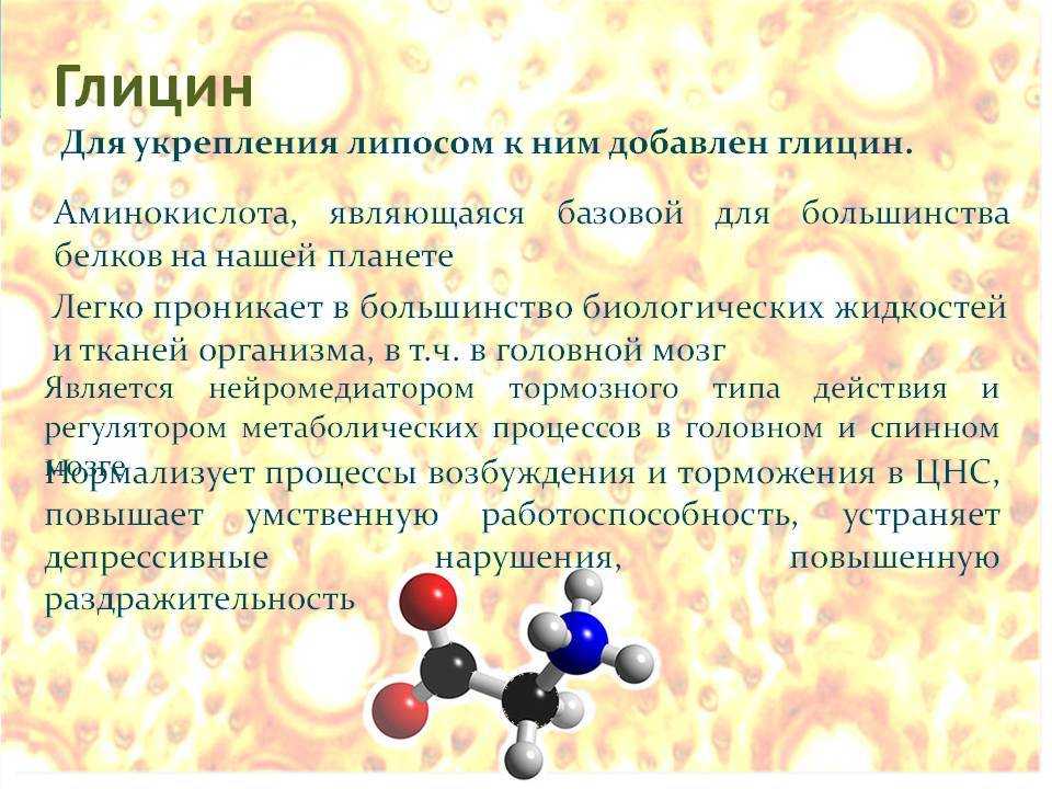 Успокоительные средства для собак: виды, инструкции по применению и отзывы