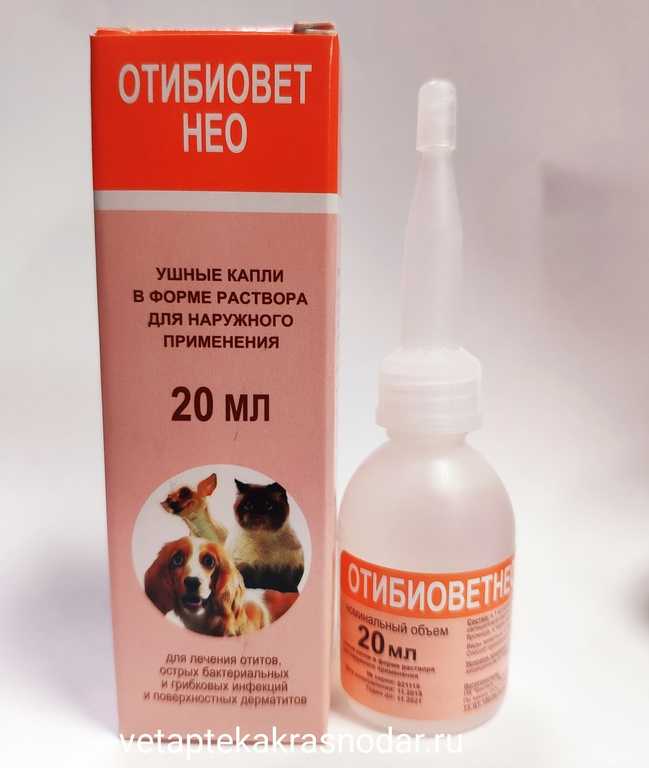 Эффективные недорогие капли от отита у собак