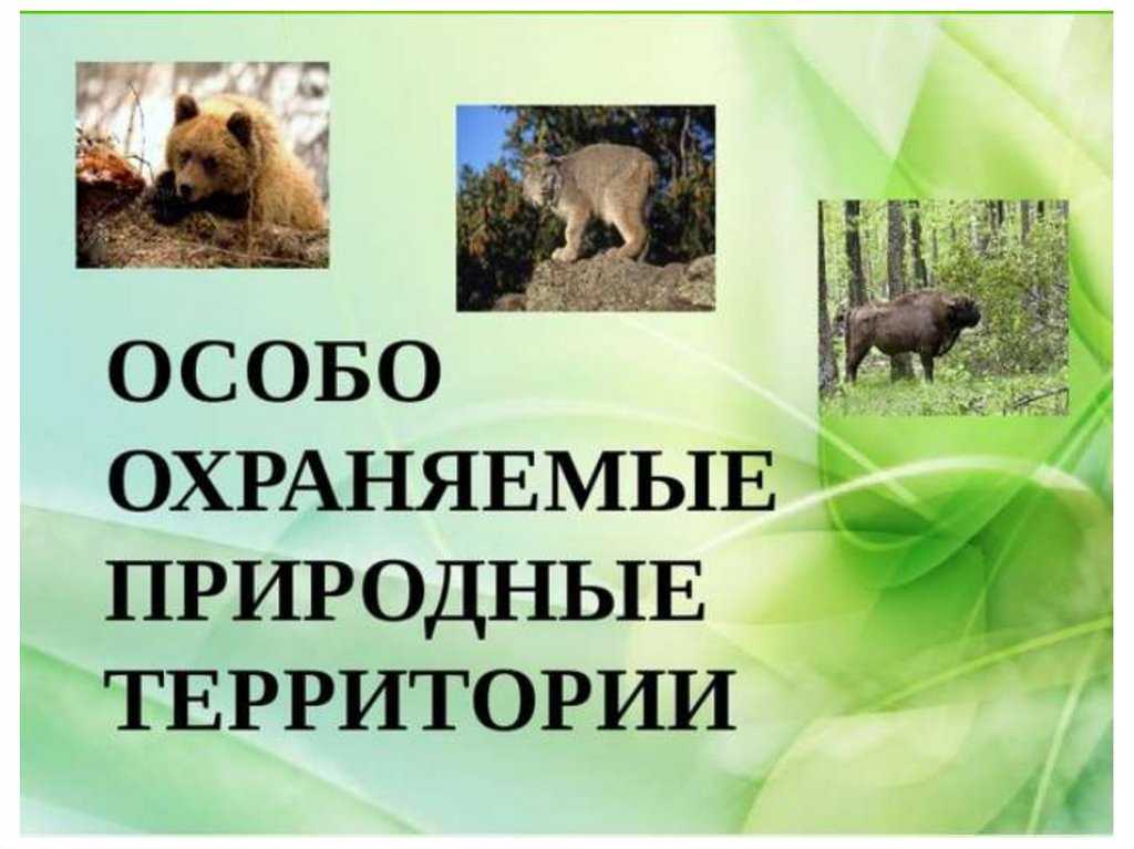 Окружающий мир 2 класс учебник 1 часть стр 21
