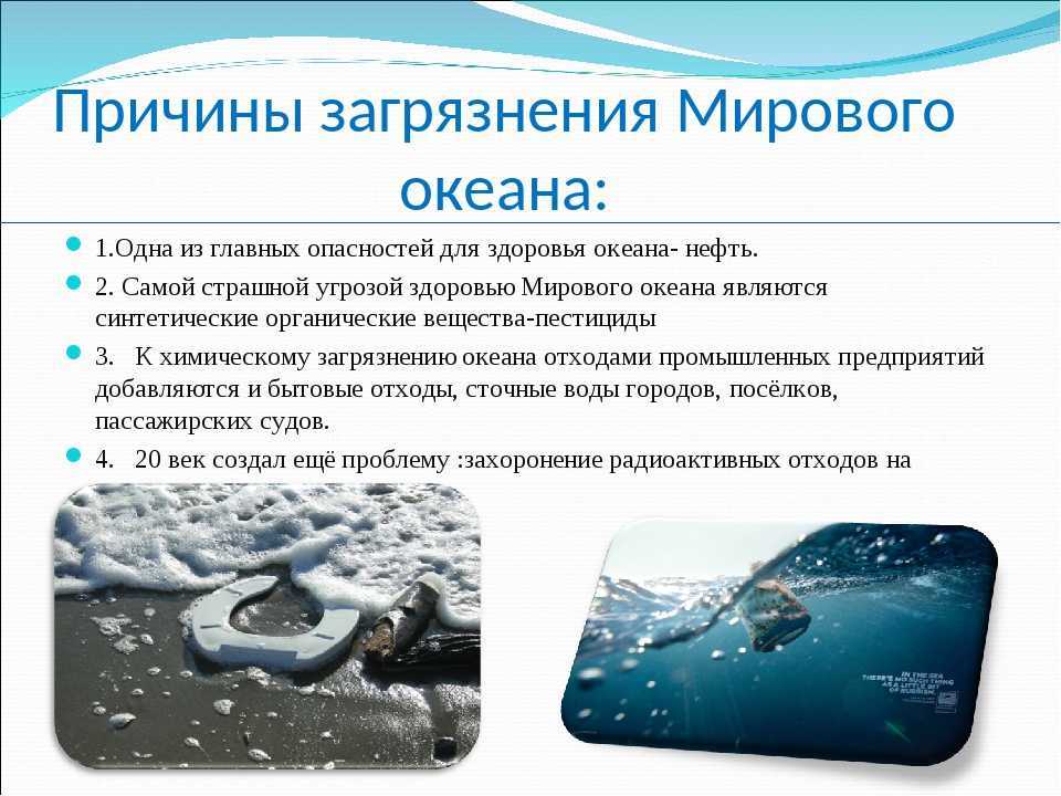 Загрязнение мирового океана: основные источники, последствия и пути решения проблемы