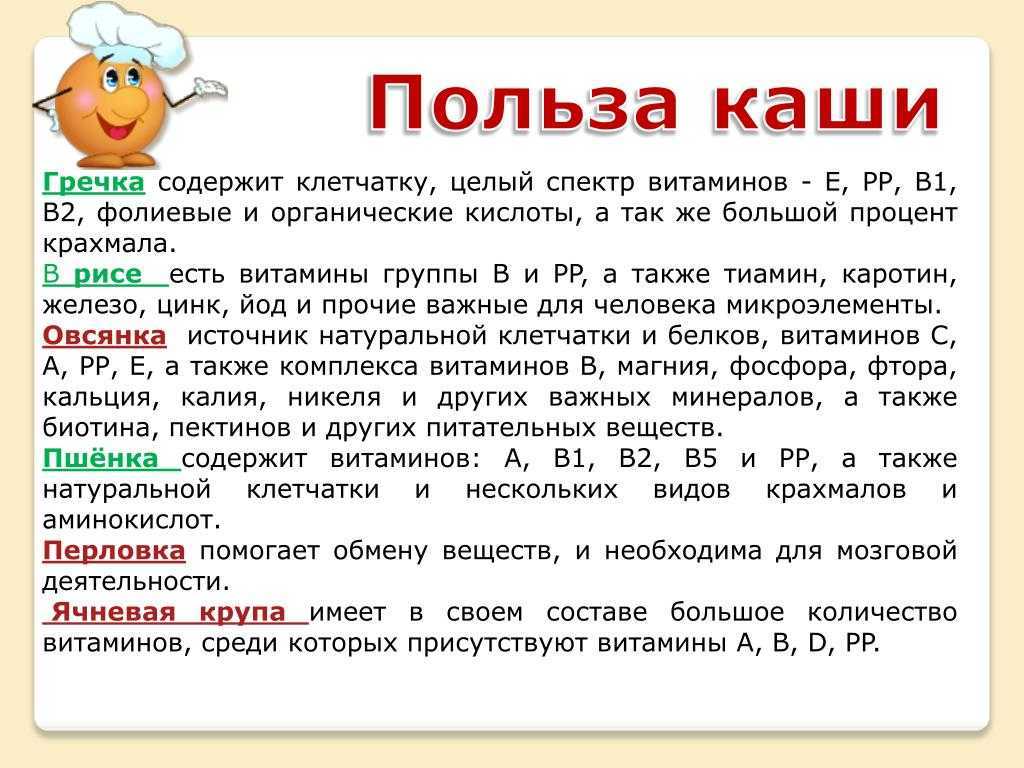 Перечень разрешенных круп для собак: какие каши можно варить и давать