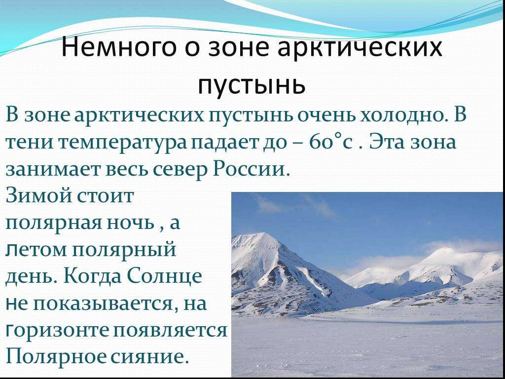 Арктика