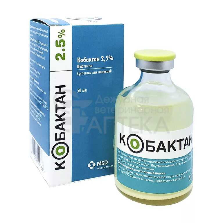 Кот баюн для собак: капли для снятия стресса