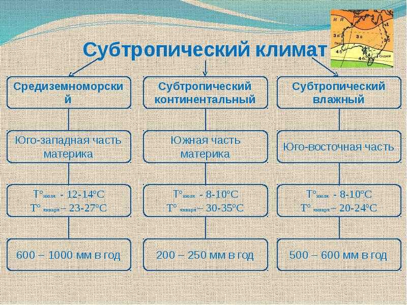 Субтропический пояс: описание климата, особенности природных зон, какие страны входят в субтропики