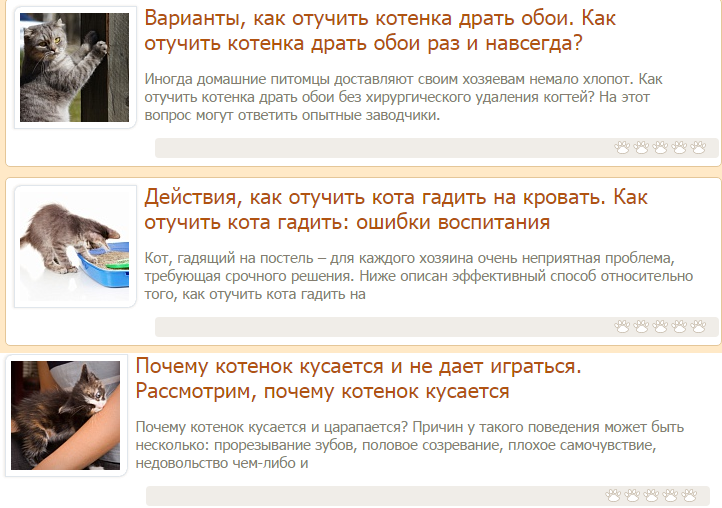 Причины того что коты начинают писать где попало: что сделать в таком случае