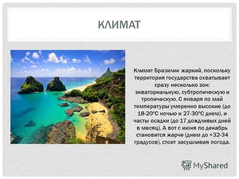 Почему уничтожают леса амазонки и как это касается всех нас?