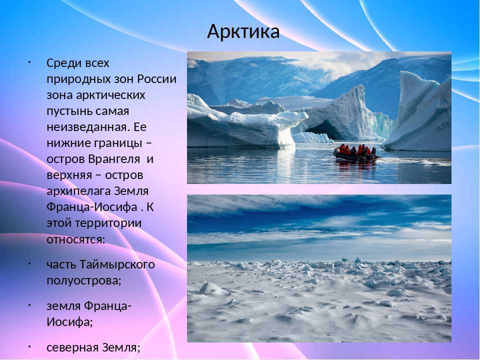 Растительный и животный мир тихого океана