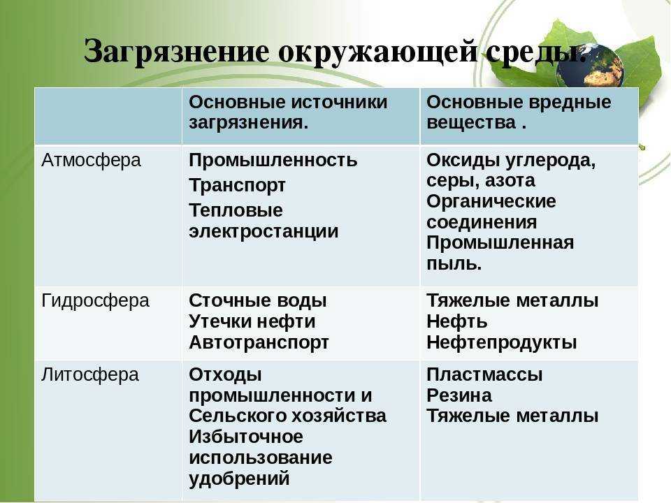 Загрязнение биосферы: что это, причины, виды, источники, последствия, защита, борьба