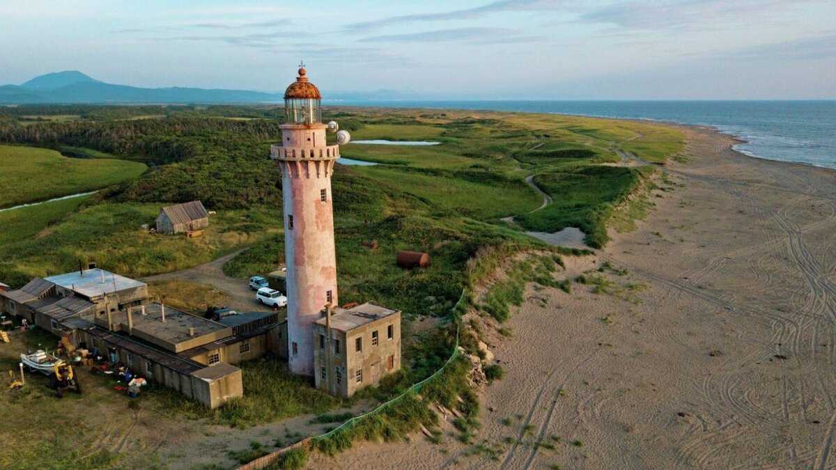 Дикий сахалин