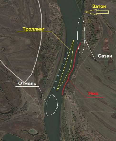 Широкопалый речной paк  фото, описание, ареал, питание, враги