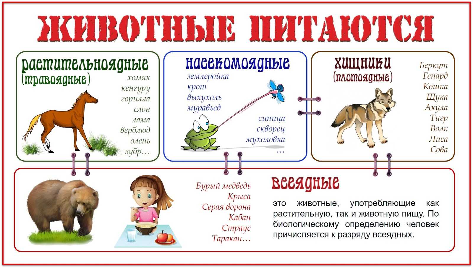 Топ-10 самых опасных животных в россии, которых лучше остерегаться