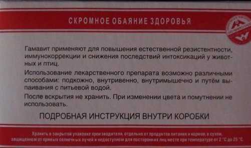 Общая характеристика и правила применения гамавита у собак