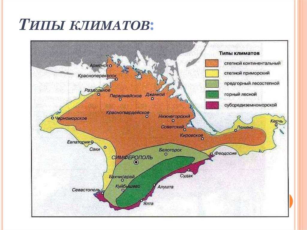 Животные крыма: фото, список видов, описание