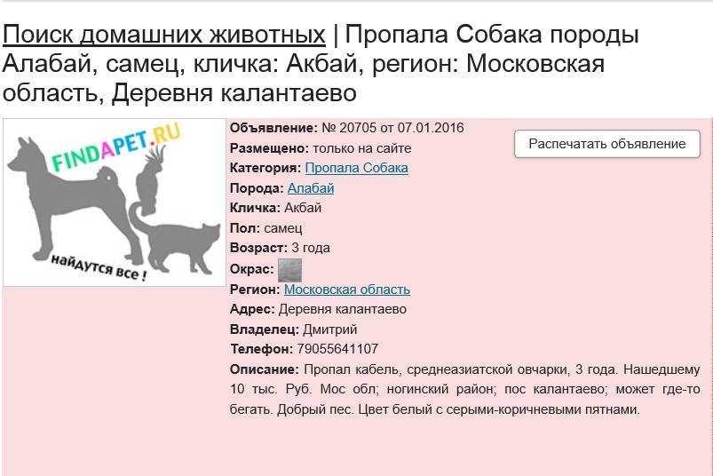 Кличка для немецкой овчарки – выбираем имя для собаки