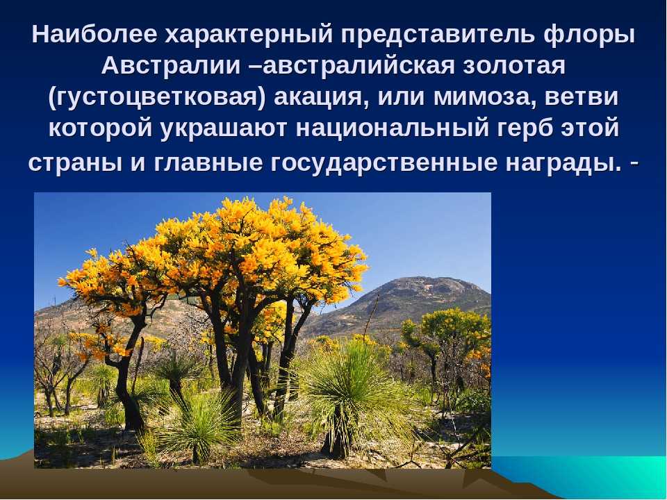 Самые хищные растения в мире: как называются | интересный сайт