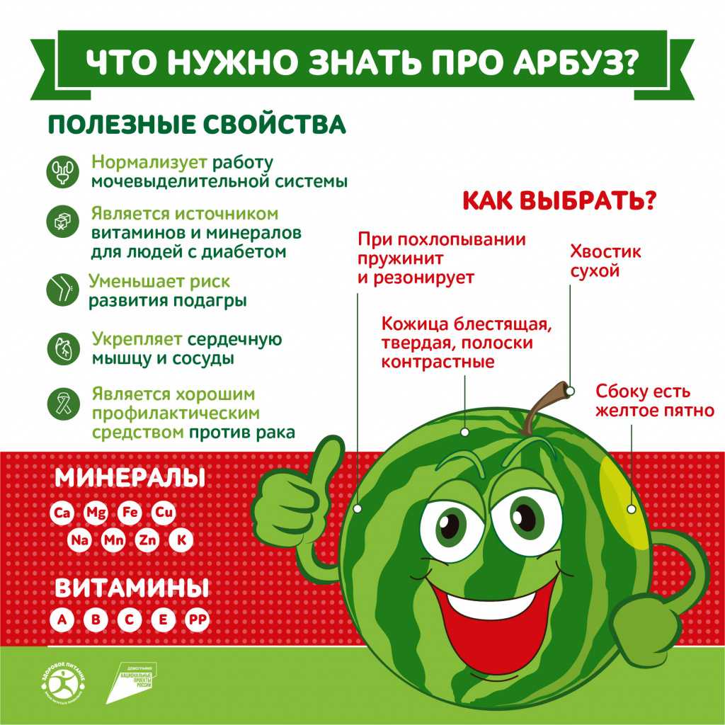 Безопасно ли кормить собаку арбузом