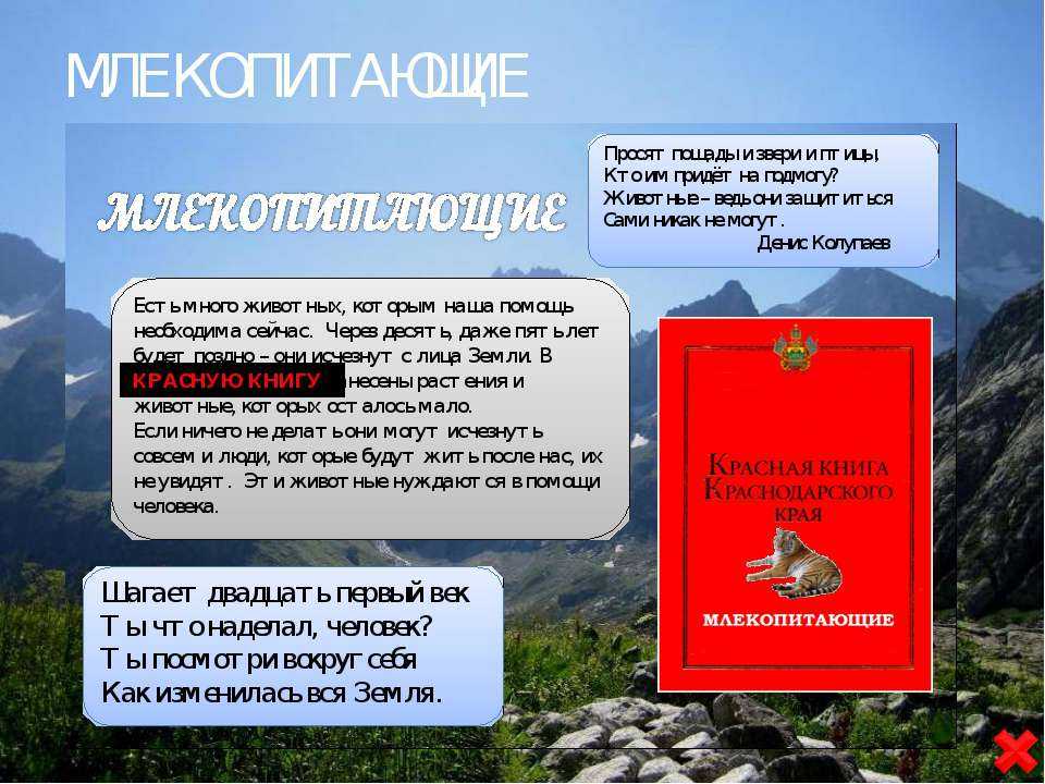 Красная книга кубани животные, рыбы и птицыкрасная книга кубани – это книга в которую вносят редкие и исчезающие виды растений и животных обитающих в нашем. - презентация