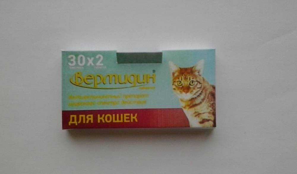 Как лечить запор у кошки - wikihow