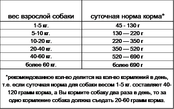 Температура тела собаки